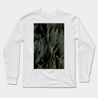 Sukkulente 01 Long Sleeve T-Shirt